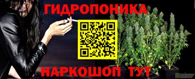 spice Свободный